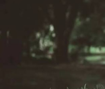 प्यारालाइसिस भएकि श्रीमतीको हत्या गरेर आत्महत्याको प्रयास