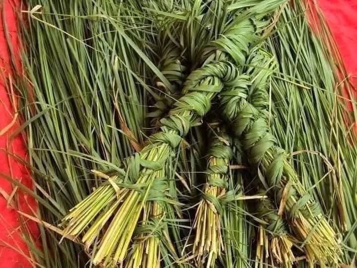 भोलि कुशेऔंशी, यस्तो छ कुशको महत्त्व